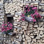 Daire Alpe Monte Massella By Interhome